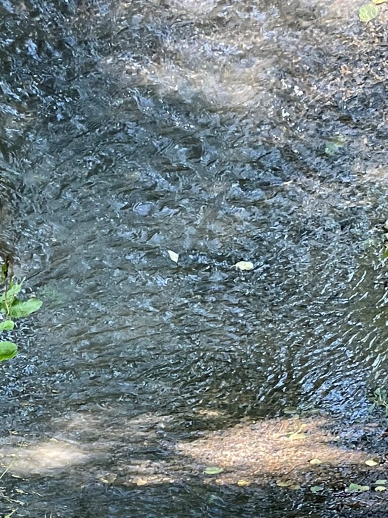 Wasserlauf in einem Flussbett