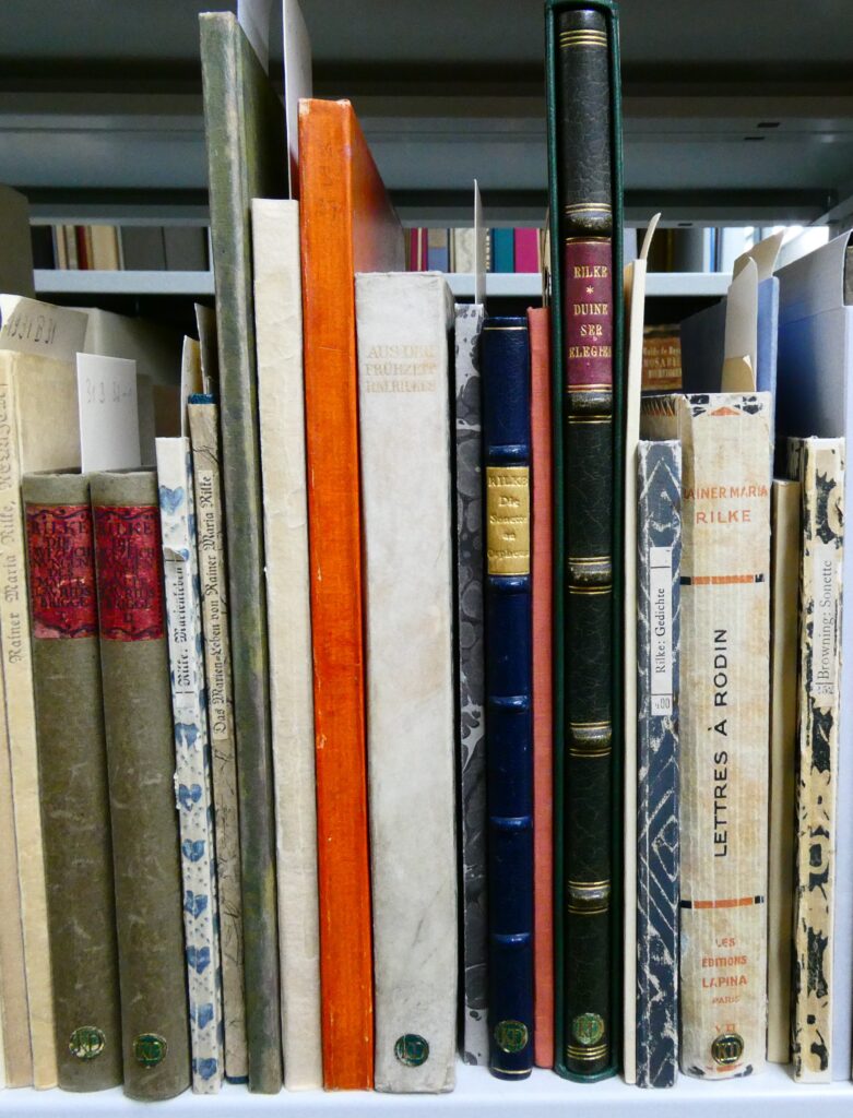 Verschiedene Bücher stehen nebeneinander im Regal. Alle sind von Rilke
