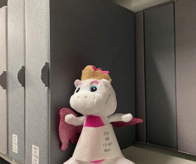Weiß-rosa Plüschdrache in einem Bücherregal