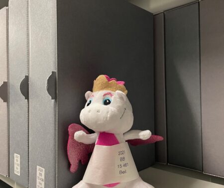 Weiß-rosa Plüschdrache in einem Bücherregal