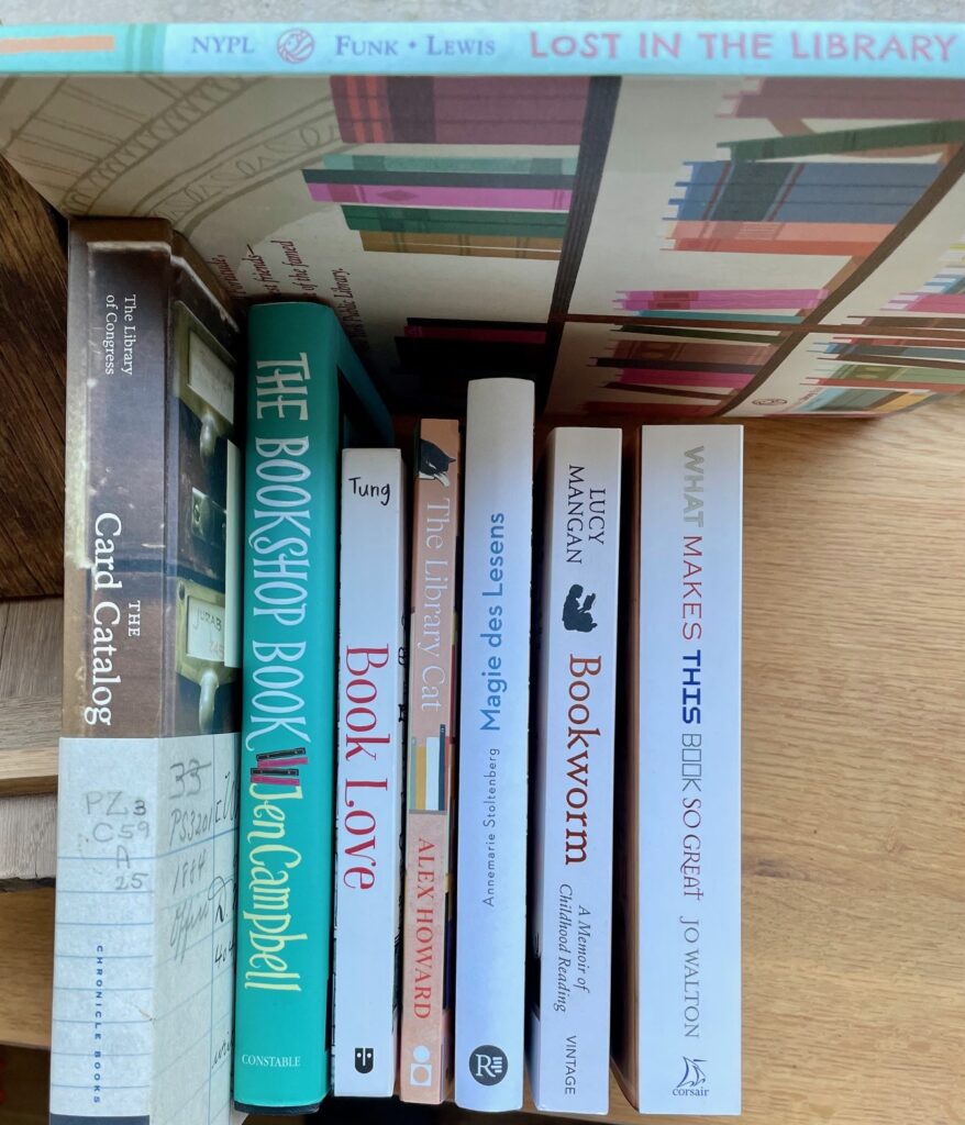 Stapel von Büchern über Bücher