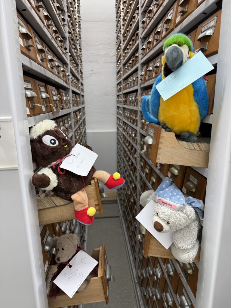 Auf den Kästen eines historischen Zettelkatalogs sitzen vier Kuscheltiere.
