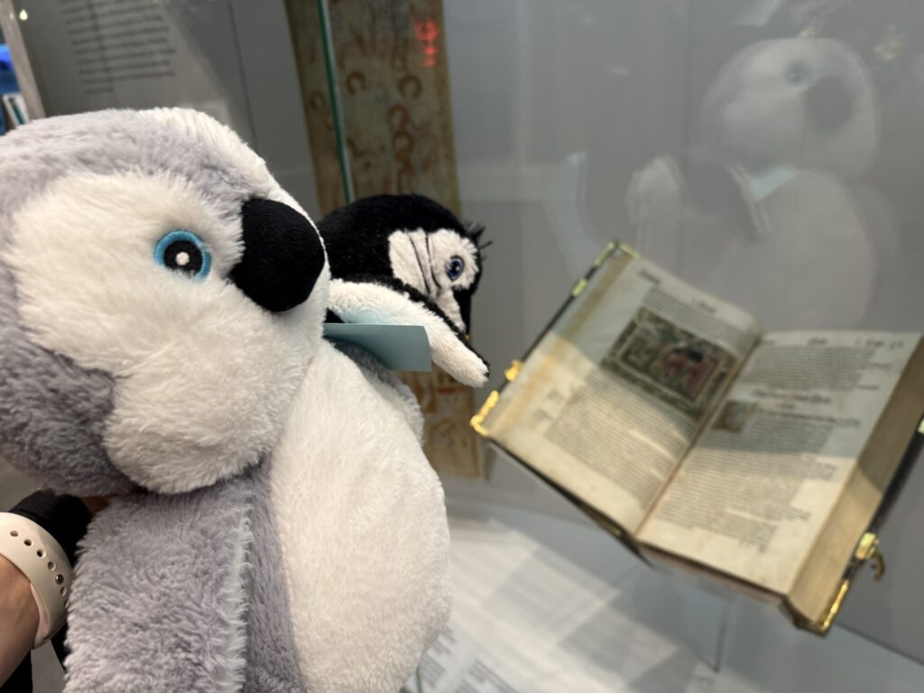 Zwie Pinguine schauen sich ein altes Buch an, was im Museum hinter einer Glasvitrine steht.