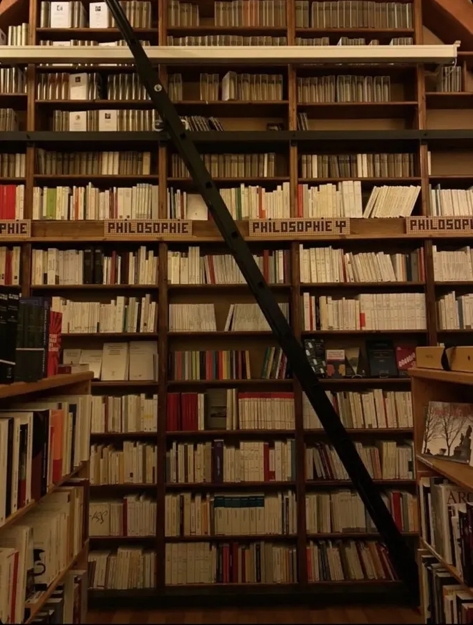 Bücherregal einer Bibliothek zum Fachgebiet Philosophie. Vor dem Regal steht quer eine hohe Leiter.