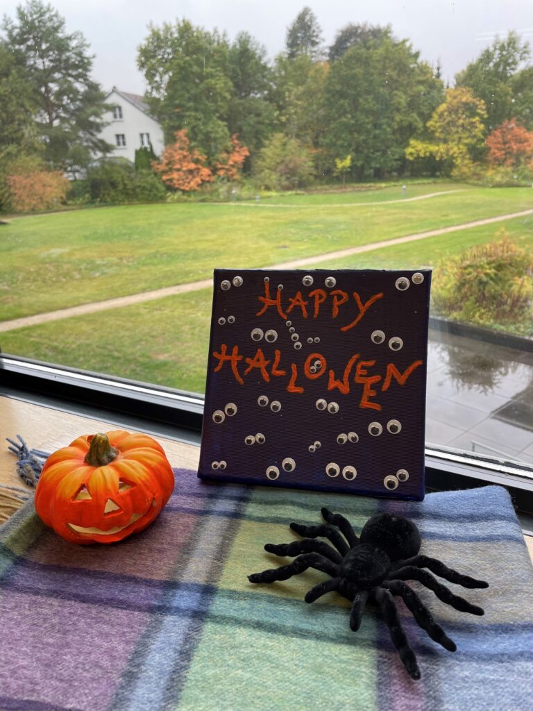Schild mit der Aufschrift Happy Halloween, ein Kürbis und eine Plüschspinne